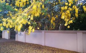 Tree Aloe Guest House